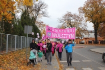 Urzd Miejski w Wolsztynie