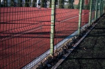 Urz�d Miejski w Wolsztynie