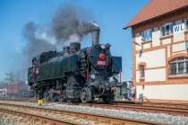 Urz�d Miejski w Wolsztynie