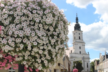 Urzd Miejski w Wolsztynie