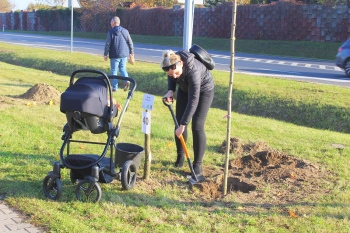 Urzd Miejski w Wolsztynie