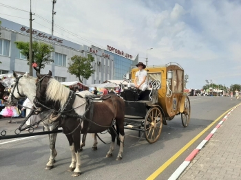 Urzd Miejski w Wolsztynie