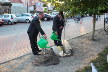 Urzd Miejski w Wolsztynie